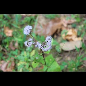 Meet your Posher, Bethany
